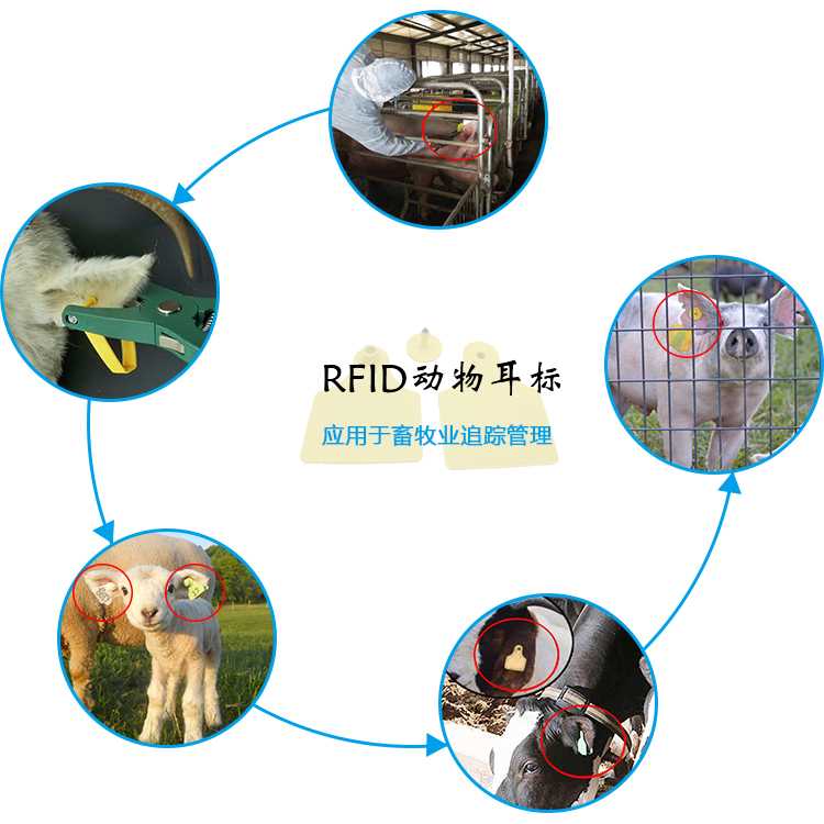 【rfid標簽廠家】選擇RFID電子標簽必須考慮的十個問題
